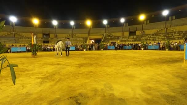 Torremolinos Španělsko Září 2023 Výstava Jezdců Veletrhu San Miguel Torremolinos — Stock video