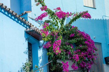 JUZCAR, İspanya - 6 Ekim 2023: Juzcar, İspanya 'daki Mavi Şirinler Köyü 6 Ekim 2023