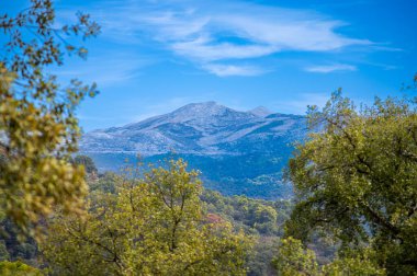 Sierra de las Nieves Ulusal Parkı panoramik manzarası, Endülüs, Güney İspanya