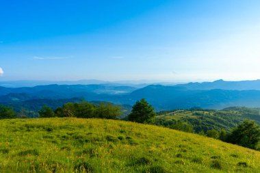 Karpatlar gün batımında yeşil çayır manzaraları, Apetska dağı, Ukrayna