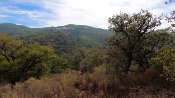 Vista Panorámica Del Parque Nacional Sierra Las Nieves Andalucía Sur — Vídeos de Stock