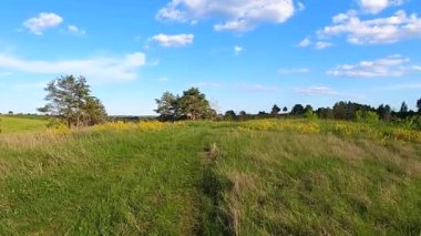 Baharda Vasylkiv, Ukrayna yakınlarında yeşil yamaçlar