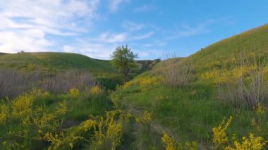 Baharda Vasylkiv, Ukrayna yakınlarında yeşil yamaçlar