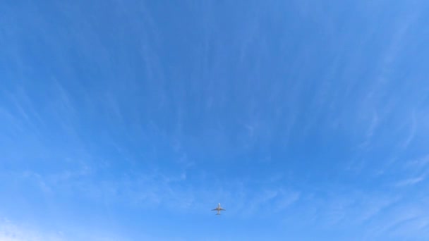 Flygplan Blå Himmel Bakgrund Med Moln — Stockvideo