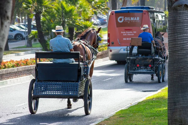 ESTEPONA, İspanya - 29 Temmuz 2023 'te İspanya' nın Estepona kentinde güneşli bir yaz gününde şehir merkezinde yürüyüş