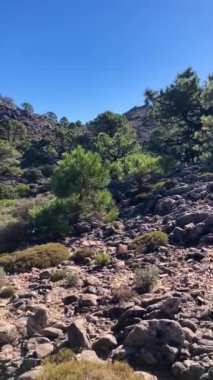 Malaga, Endülüs, İspanya 'daki Tejeda, Almijara ve Alhama Doğal Parkı' nın Lucero zirvesine yürüyüş