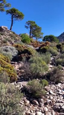 Malaga, Endülüs, İspanya 'daki Tejeda, Almijara ve Alhama Doğal Parkı' nın Lucero zirvesine yürüyüş
