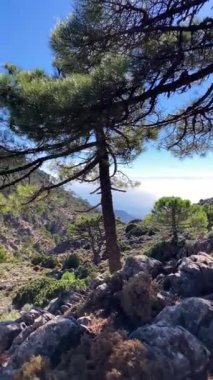 Malaga, Endülüs, İspanya 'da Tejeda, Almijara ve Alhama Doğal Parkı' nın Lucero zirvesi.