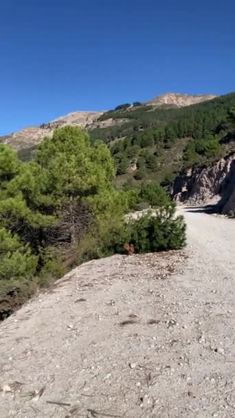 Bergsväg Till Startpunkten För Lucero Toppled Naturparken Tejeda Almijara Och — Stockvideo