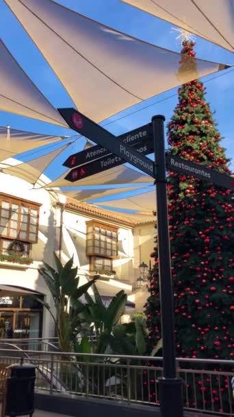 Malaga Spanien November 2023 Fånga Den Festliga Charmen Julgran Plaza — Stockvideo