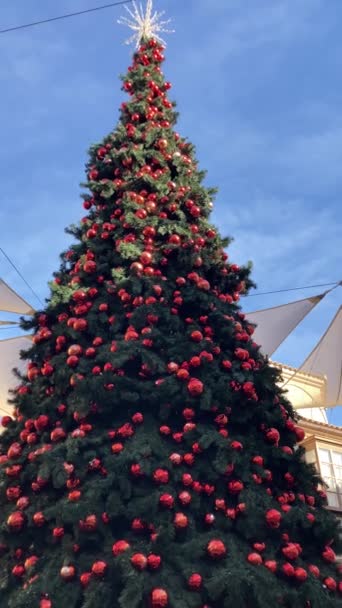 2023年11月15日 スペインのマラガ市長ショッピングセンターでクリスマスツリーのお祝いの魅力をキャプチャします — ストック動画