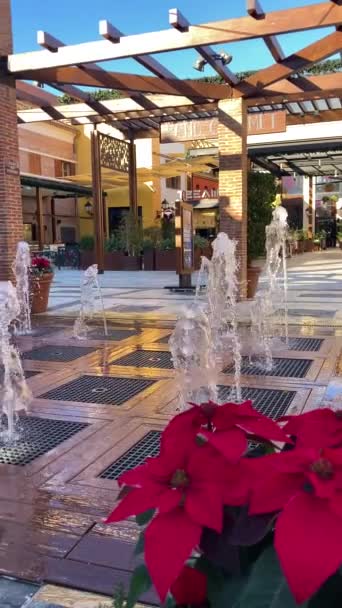 Malaga Spanyolország November 2023 Capture Festive Charm Christmas Plaza Mayor — Stock videók