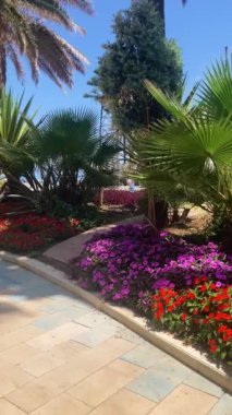 ESTEPONA, İspanya - 29 Temmuz 2023 'te İspanya' nın Estepona kentinde güneşli bir yaz gününde şehir merkezinde yürüyüş