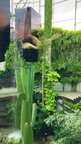 Эстепона Испания Июля 2023 Года Дом Орхидей Эстепоны Центре Города — стоковое видео