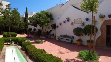 ESTEPONA, İspanya - 29 Temmuz 2023 'te İspanya' nın Estepona kentinde güneşli bir yaz gününde şehir merkezinde yürüyüş