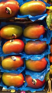 MALAGA, İspanya - 22 Kasım 2023: 22 Kasım 2023 tarihinde İspanya 'nın Malaga kentindeki Atarazana Merkez Pazarı' nda taze deniz ürünleri, et, sebze ve meyve çeşitliliği sağlanması