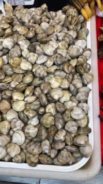 MALAGA, İspanya - 22 Kasım 2023: 22 Kasım 2023 tarihinde İspanya 'nın Malaga kentindeki Atarazana Merkez Pazarı' nda taze deniz ürünleri, et, sebze ve meyve çeşitliliği sağlanması