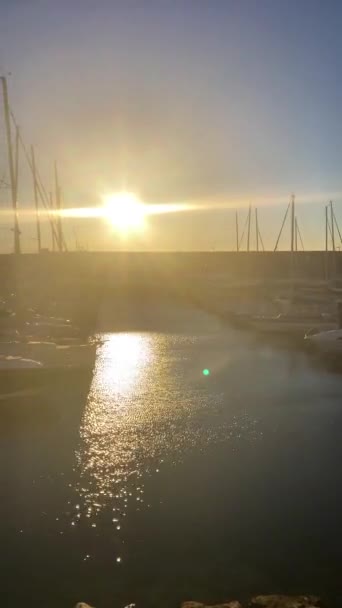 2023年11月22日 スペインのマラガ港で 晴れた朝 ヨットとクルーズライナーの間の港を散策する — ストック動画