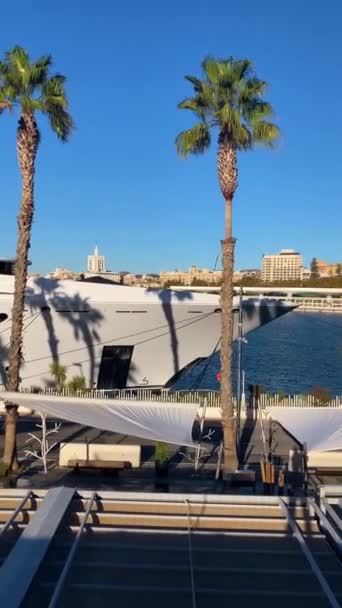 Malaga España Noviembre 2023 Disfrutando Paseo Puerto Entre Yates Cruceros — Vídeo de stock