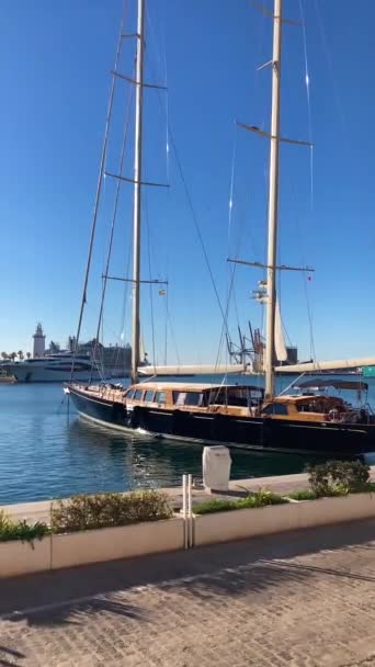 Malaga Spain November 2023 Enjoying Walk Port Yachts Cruze Liners — Stock Video