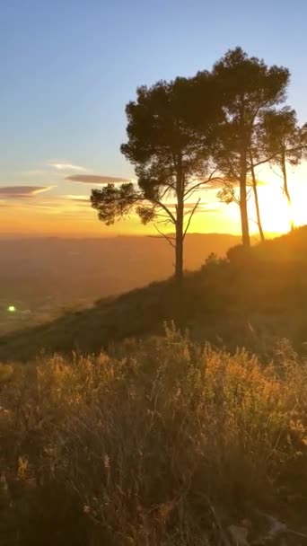 マハールの森と地中海の夕日 コスタデルソル マラガ スペイン — ストック動画