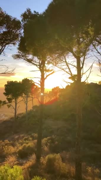 Pôr Sol Sobre Floresta Mijas Mar Mediterrâneo Costa Del Sol — Vídeo de Stock