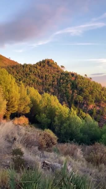 Sonnenuntergang Über Mijas Wald Und Mittelmeer Costa Del Sol Malaga — Stockvideo