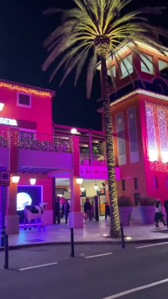 Malaga Spain December 2023 Capture Festive Charm Christmas Plaza Mayor — Stock Video