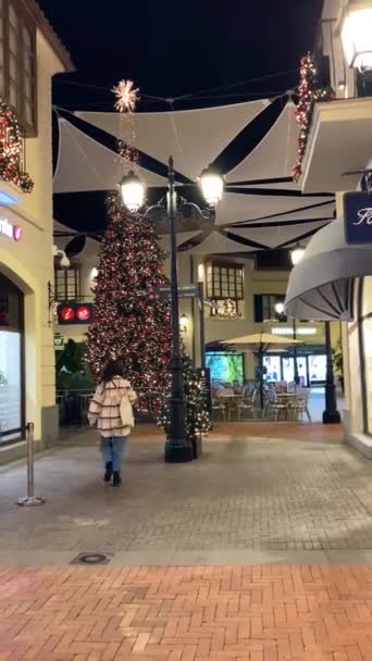 马拉加 2023年12月15日 2023年12月15日 在西班牙马拉加市长广场购物中心抓住圣诞节的节日魅力 — 图库视频影像