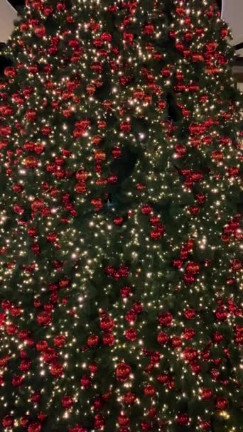 Malaga Spain Декабря 2023 Захватите Праздничное Очарование Рождества Торговом Центре — стоковое видео