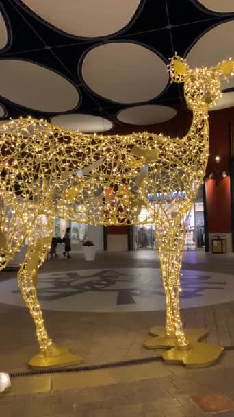 Malaga Espanha Dezembro 2023 Capture Charme Festivo Natal Centro Comercial — Vídeo de Stock