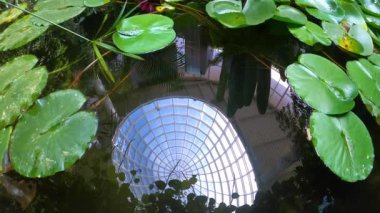 ESTEPONA, SPAIN - 29 Temmuz 2023: Estepona Orkide Evi 29 Temmuz 2023