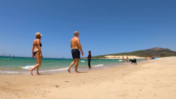 Tarifa España Junio 2023 Kitesurf Playa Valdevaqueros Estrecho Gibraltar Tarifa — Vídeos de Stock
