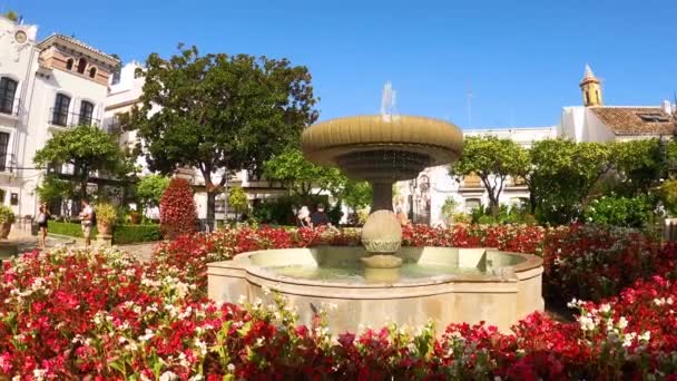 Эстепона Испания Июля 2023 Года Площадь Цветов Утренний Летний День — стоковое видео