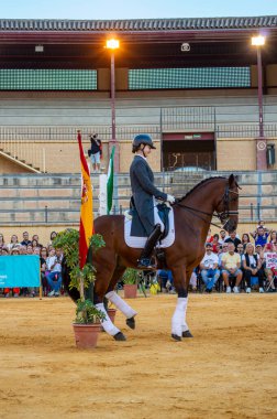 TORREMOLINOS, İspanya - 30 Eylül 2023: Atlılar 30 Eylül 2023 tarihinde İspanya 'nın Torremolinos kentindeki San Miguel fuarında gösteri yaptılar