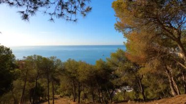 MALAGA, İspanya - 23 Eylül 2023: Castillo de Gibralfaro yolu güneşli bir sonbahar sabahında 23 Eylül 2023 tarihinde İspanya 'nın Malaga kentinde