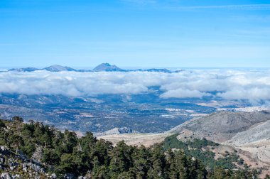 Torrecilla tepesine giden yürüyüş yolunun panoramik görüntüsü, Sierra de las Nieves Ulusal Parkı, Endülüs, İspanya