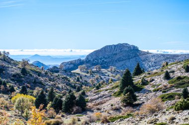 Torrecilla, Sierra de las Nieves Ulusal Parkı, Endülüs, İspanya