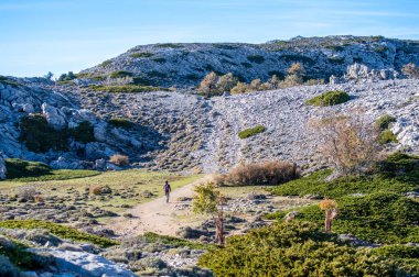Torrecilla, Sierra de las Nieves Ulusal Parkı, Endülüs, İspanya