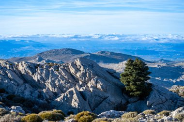Torrecilla tepesine giden yürüyüş yolunun panoramik görüntüsü, Sierra de las Nieves Ulusal Parkı, Endülüs, İspanya