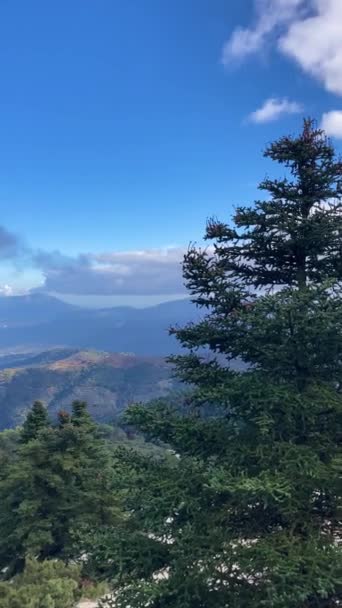 Vista Panorámica Del Bosque Pinos Ruta Senderismo Pico Torrecilla Parque — Vídeos de Stock