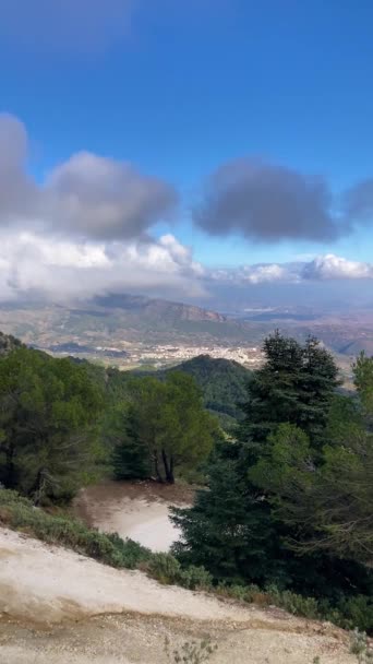Vista Panorámica Del Bosque Pinos Ruta Senderismo Pico Torrecilla Parque — Vídeo de stock