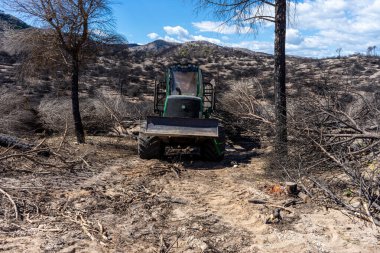 MIJAS, İSPA - 19 Mart 2023: Mijas, İspanya 'daki Mijas tepesine giden yol üzerinde yanmış orman 19 Mart 2023
