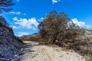 Mijas, Malaga, İspanya tepelerine yürüyüş parkurunun panoramik görüntüsü