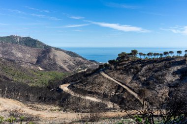 Mijas, Malaga, İspanya tepelerine giden yolda yanan orman.