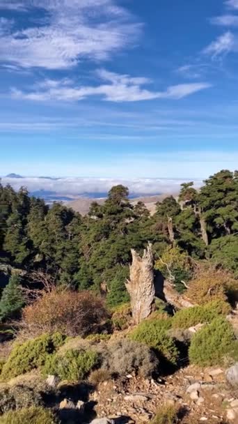 Vista Panorâmica Trilha Para Pico Torrecilla Parque Nacional Sierra Las — Vídeo de Stock