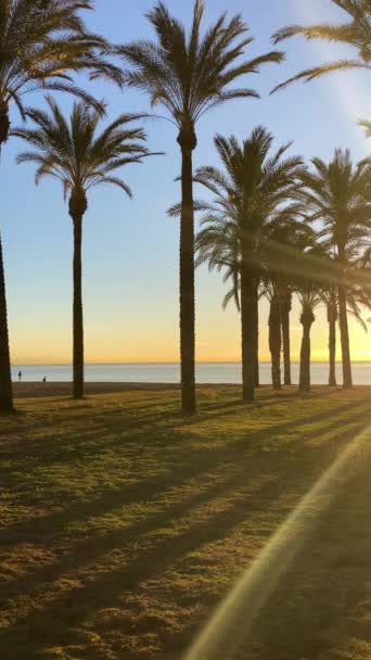 Salida Del Sol Sobre Mar Mediterráneo España Torremolinos Málaga Costa — Vídeo de stock
