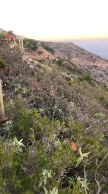 Calamorro tepesindeki vahşi keçiler görüş açısı, Costa del Sol, Endülüs, İspanya