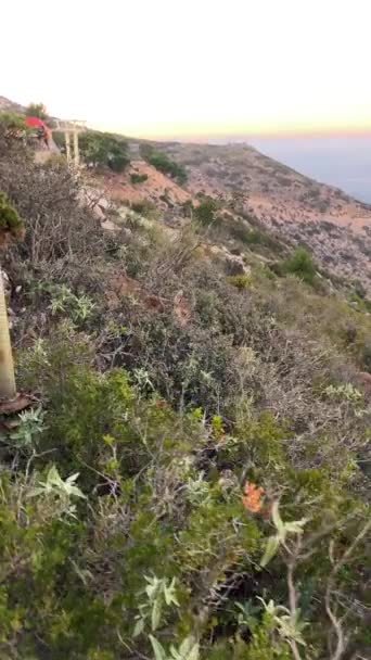 Άγρια Κατσίκια Στο Calamorro Άποψη Αιχμής Costa Del Sol Ανδαλουσία — Αρχείο Βίντεο