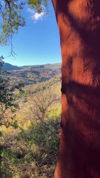 Chênes Dans Vallée Genal Parc National Sierra Las Nievas Andalousie — Video